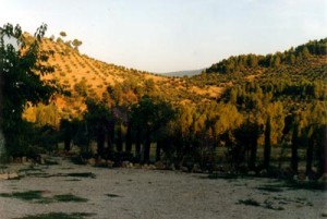 casa_01