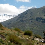 El_puntal